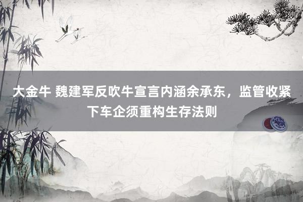 大金牛 魏建军反吹牛宣言内涵余承东，监管收紧下车企须重构生存法则