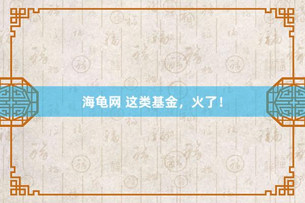 海龟网 这类基金，火了！