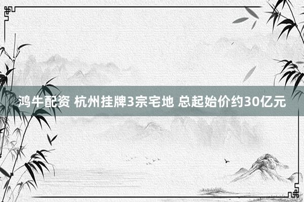 鸿牛配资 杭州挂牌3宗宅地 总起始价约30亿元