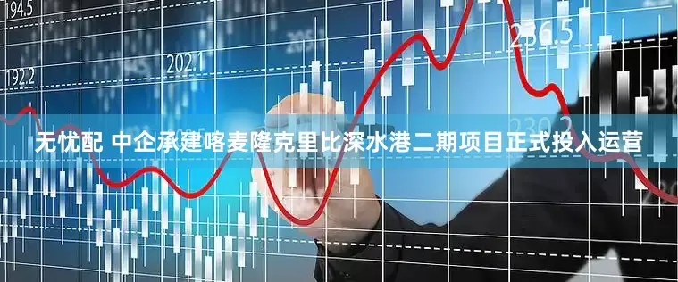 无忧配 中企承建喀麦隆克里比深水港二期项目正式投入运营