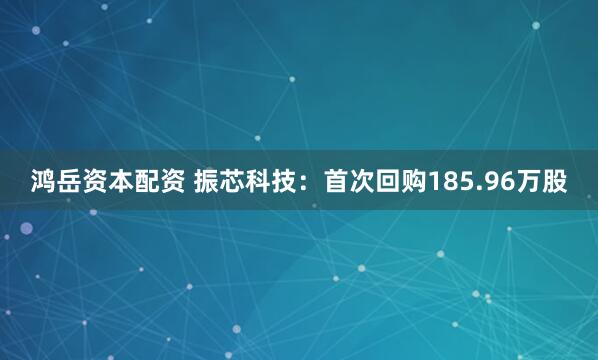 鸿岳资本配资 振芯科技：首次回购185.96万股
