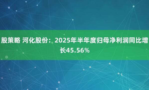 股策略 河化股份：2025年半年度归母净利润同比增长45.56%